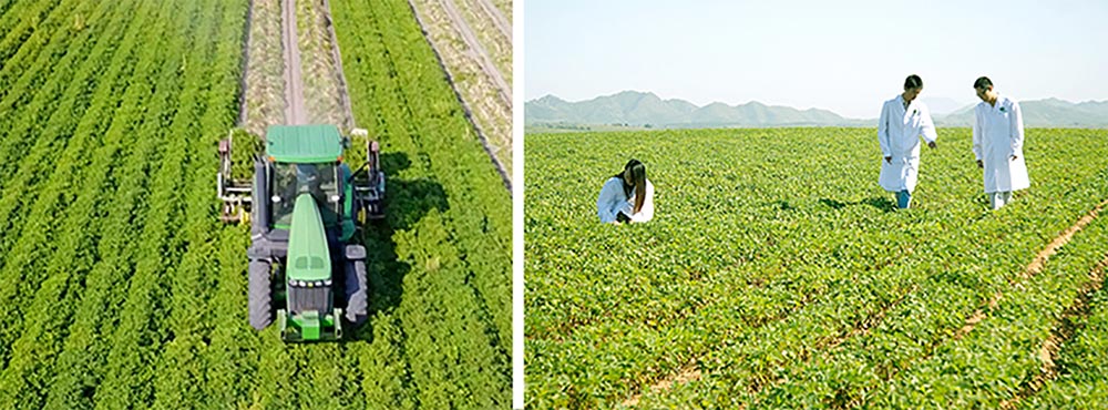 遼寧正業(yè)花生產(chǎn)業(yè)：共抗疫情，龍頭企業(yè)顯擔當！(圖3)